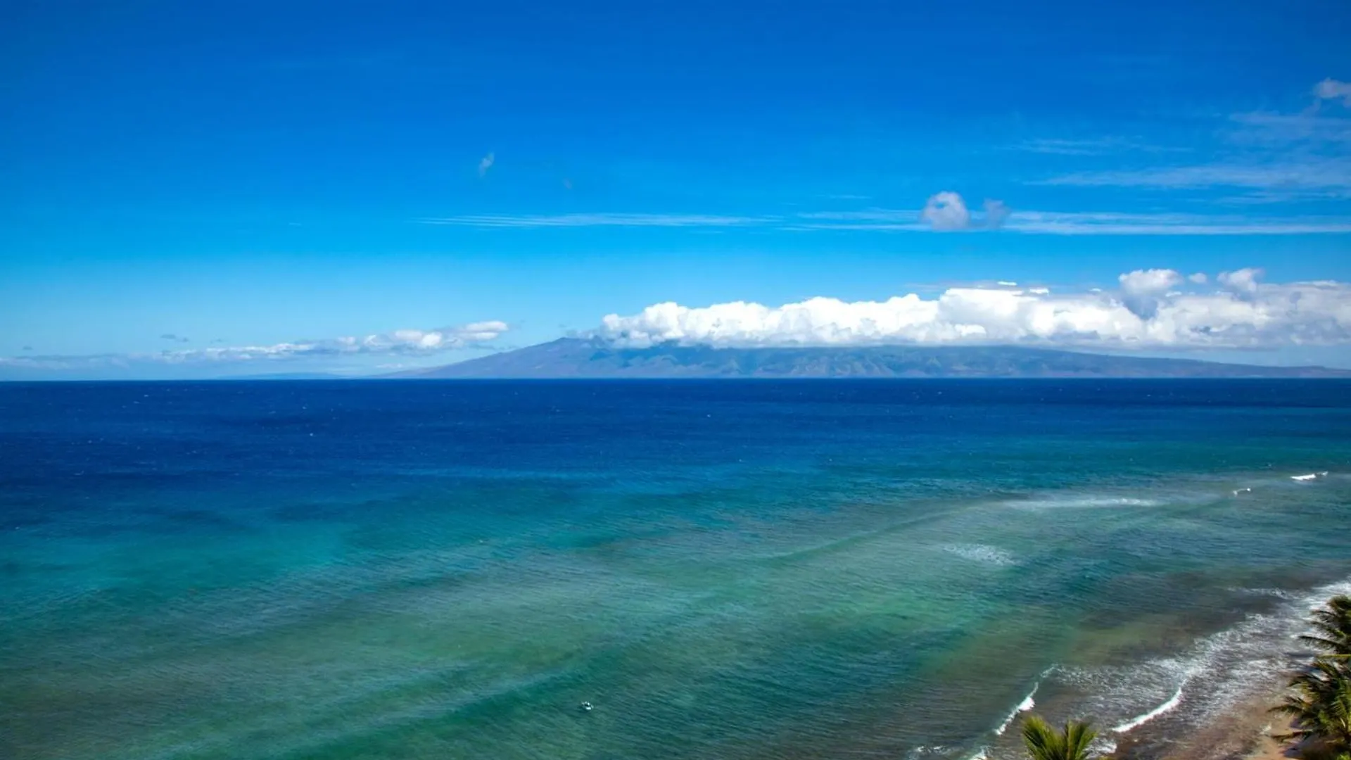Kbm Resorts Free Car Mahana Mah-1219 Penthouse Ocean Front Whale Watching Kaanapali