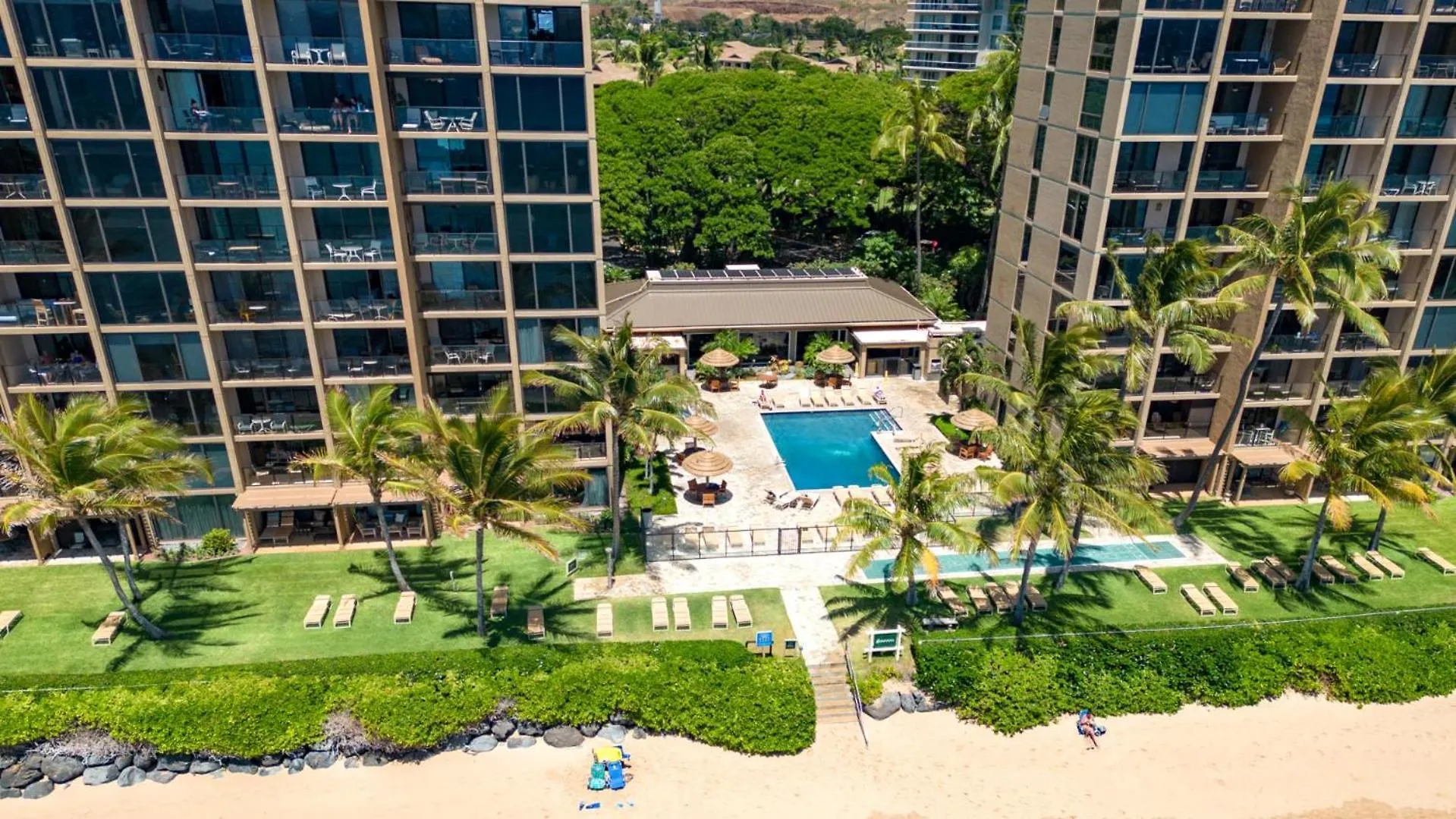 Kbm Resorts Free Car Mahana Mah-1219 Penthouse Ocean Front Whale Watching Kaanapali
