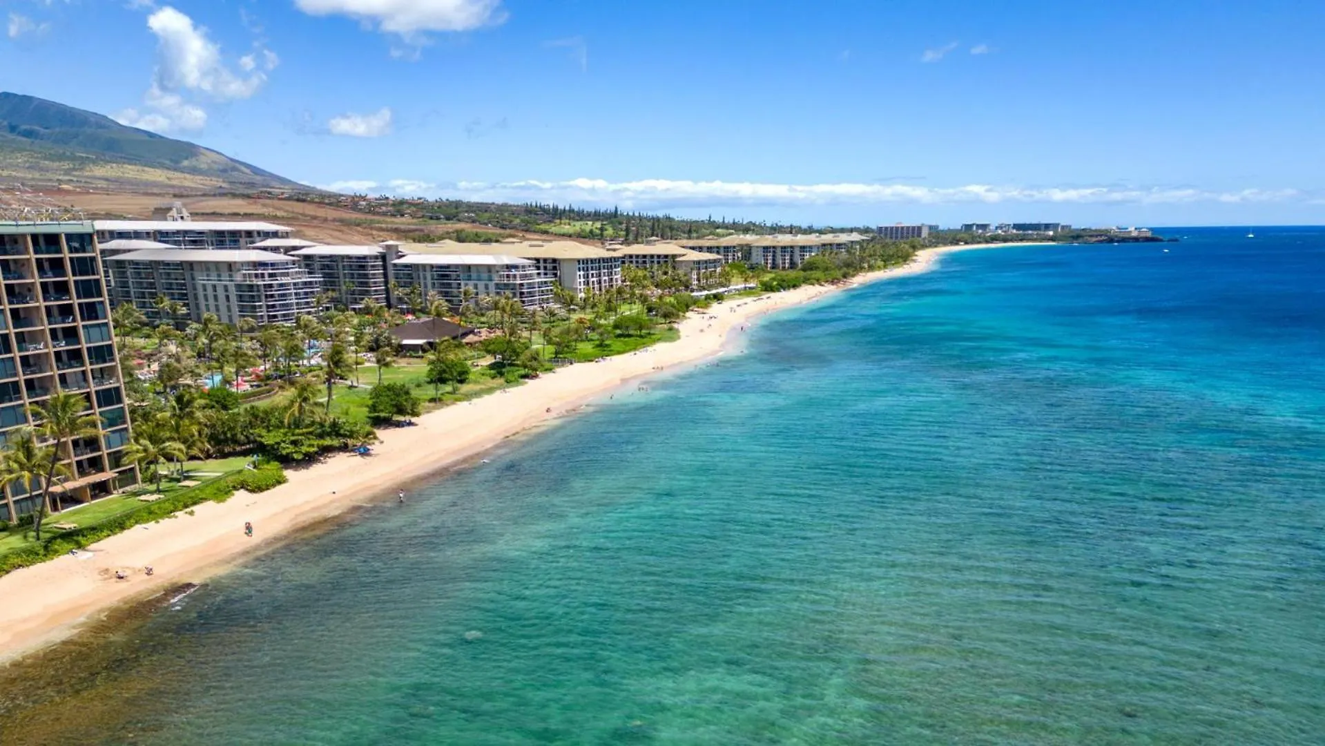 Apartment Kbm Resorts Free Car Mahana Mah-1219 Penthouse Ocean Front Whale Watching Kaanapali
